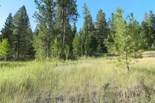 10 Sorona Way, Tonasket, WA 98855 - Photo 7