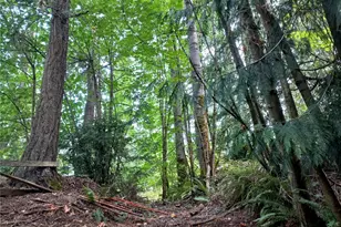 505 208th Ave SE, Sammamish, WA 98074 - Photo 7