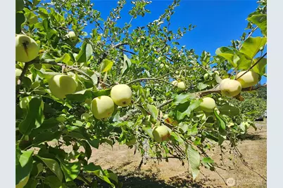 44026 State Route 161 E, Eatonville, WA 98328 - Photo 31