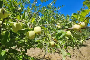 44026 State Route 161 E, Eatonville, WA 98328 - Photo 31