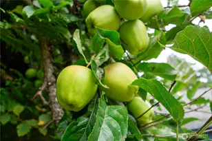 1122 W Spruce St, Port Angeles, WA 98362 - Photo 21