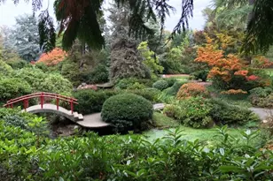 9733 Arrowsmith Ave S, Seattle, WA 98118 - Photo 37