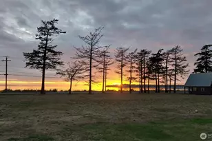 7954 Birch Bay Dr, Blaine, WA 98230 - Photo 7