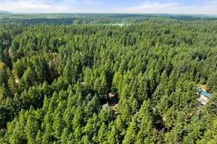 17731 Beachside Dr SE, Yelm, WA 98597 - Photo 27