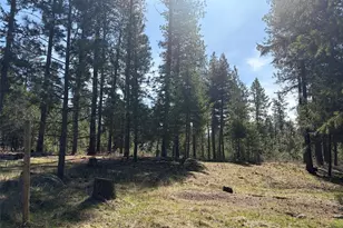 13 Rope And Saddle Ln, Tonasket, WA 98855 - Photo 19