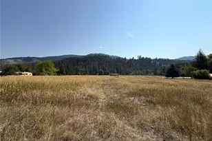 20 Race St, Danville, WA 99121 - Photo 35