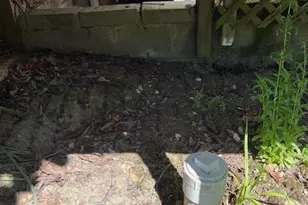 4053 NE 55th St, Seattle, WA 98105 - Photo 15