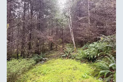 0 Bunker Creek Road, Adna, WA 98522 - Photo 11