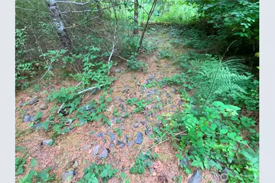 0 Bunker Creek Road, Adna, WA 98522 - Photo 5