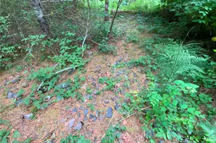 0 Bunker Creek Rd, Adna, WA 98522 - Photo 5