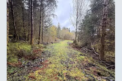 0 Bunker Creek Road, Adna, WA 98522 - Photo 1