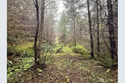 0 Bunker Creek Road, Adna, WA 98522 - Photo 13