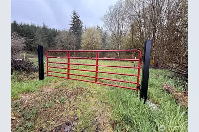 0 Bunker Creek Road, Adna, WA 98522 - Photo 15