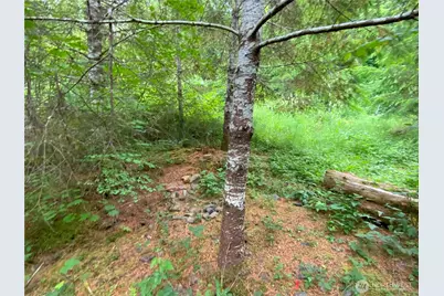 0 Bunker Creek Road, Adna, WA 98522 - Photo 7