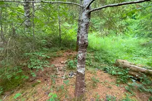 0 Bunker Creek Rd, Adna, WA 98522 - Photo 7