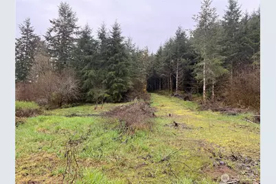0 Bunker Creek Road, Adna, WA 98522 - Photo 3