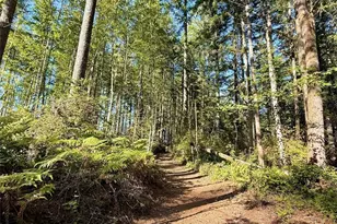 4351 SW Kerbin Ln, Port Orchard, WA 98367 - Photo 33