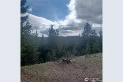 100 Turner Lake Road N, Tonasket, WA 98855 - Photo 27