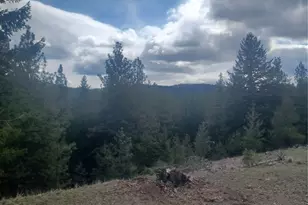 100 Turner Lake Rd N, Tonasket, WA 98855 - Photo 27