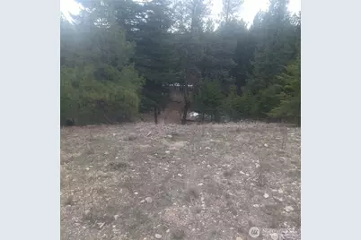 100 Turner Lake Road N, Tonasket, WA 98855 - Photo 29