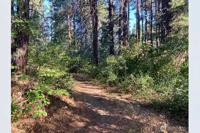 322 W 4th Street, Cle Elum, WA 98922 - Photo 5