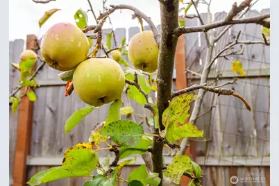 553 Dryke Road, Sequim, WA 98382 - Photo 35