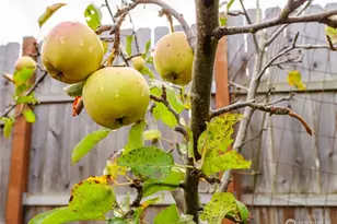 553 Dryke Rd., Sequim, WA 98382 - Photo 35