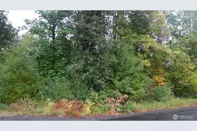 0 Viewridge Road, Onalaska, WA 98570 - Photo 3