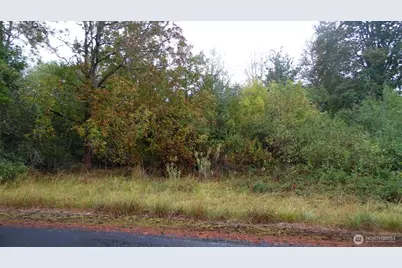 0 Viewridge Road, Onalaska, WA 98570 - Photo 7