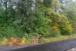 0 Viewridge Rd, Onalaska, WA 98570 - Photo 1