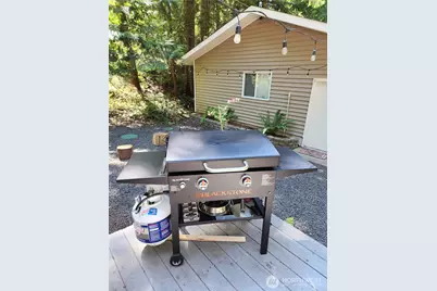 221 N Mount Seattle Way, Hoodsport, WA 98548 - Photo 11