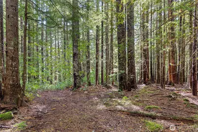 1350 N Hilltop Loop Road, Hoodsport, WA 98548 - Photo 7