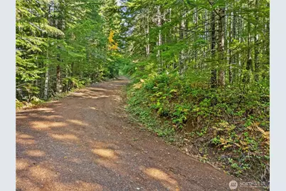 1350 N Hilltop Loop Road, Hoodsport, WA 98548 - Photo 19