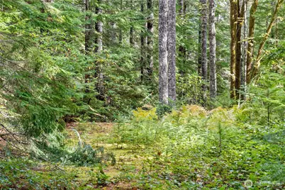 1350 N Hilltop Loop Road, Hoodsport, WA 98548 - Photo 11
