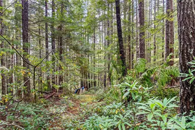 1350 N Hilltop Loop Road, Hoodsport, WA 98548 - Photo 9