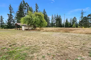 7804 280th St S, Roy, WA 98580 - Photo 27