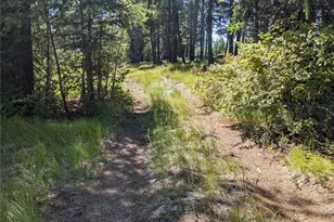 0 Mule Deer Rd, Republic, WA 99166 - Photo 15