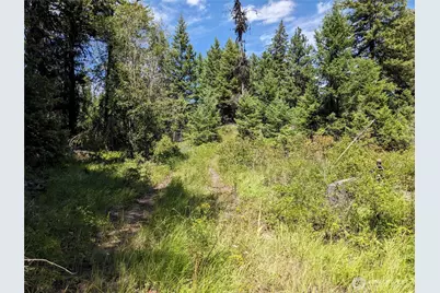 0 Mule Deer Road, Republic, WA 99166 - Photo 23