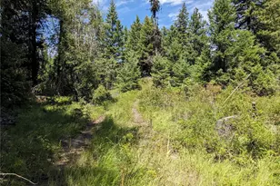 0 Mule Deer Rd, Republic, WA 99166 - Photo 23