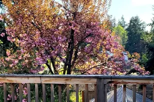 20204 9th Ave S, Des Moines, WA 98198 - Photo 37