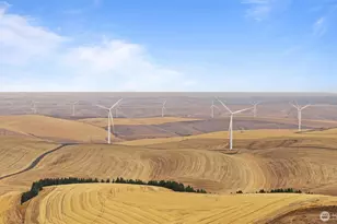 338 E Bramhall Rd, Dayton, WA 99328 - Photo 39