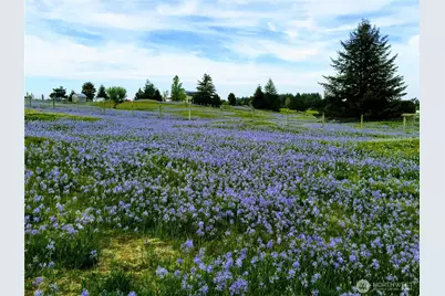 7737 Bordeaux Vista Lane SW, Olympia, WA 98512 - Photo 11