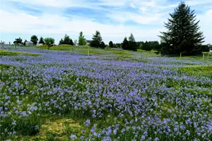 7737 Bordeaux Vista Ln SW, Olympia, WA 98512 - Photo 11
