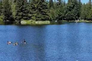 20 E Totten Pl, Shelton, WA 98584 - Photo 25