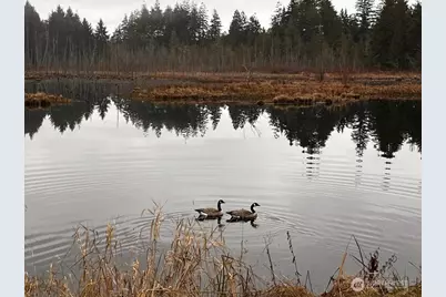 20 E Totten Place, Shelton, WA 98584 - Photo 29