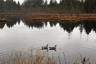 20 E Totten Pl, Shelton, WA 98584 - Photo 29