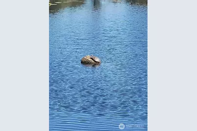 20 E Totten Place, Shelton, WA 98584 - Photo 33