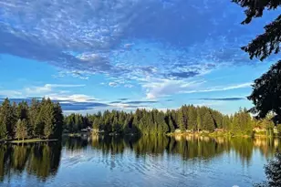 20 E Totten Pl, Shelton, WA 98584 - Photo 27