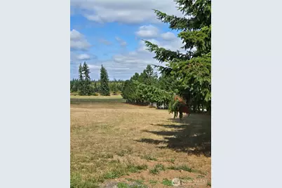 284 W Hale Road, Winlock, WA 98596 - Photo 21