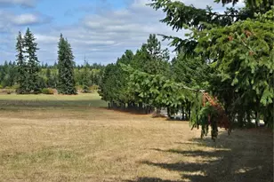 284 W Hale Rd, Winlock, WA 98596 - Photo 21